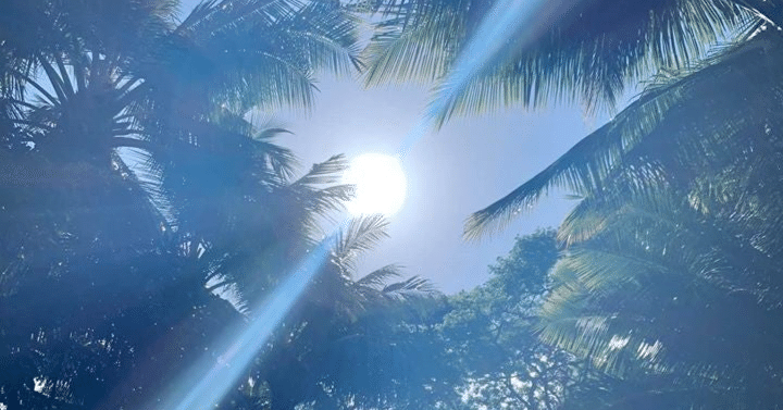 最近気になった音楽（1） 島田奈美「SUN SHOWER」｜七語零黎の「青・空