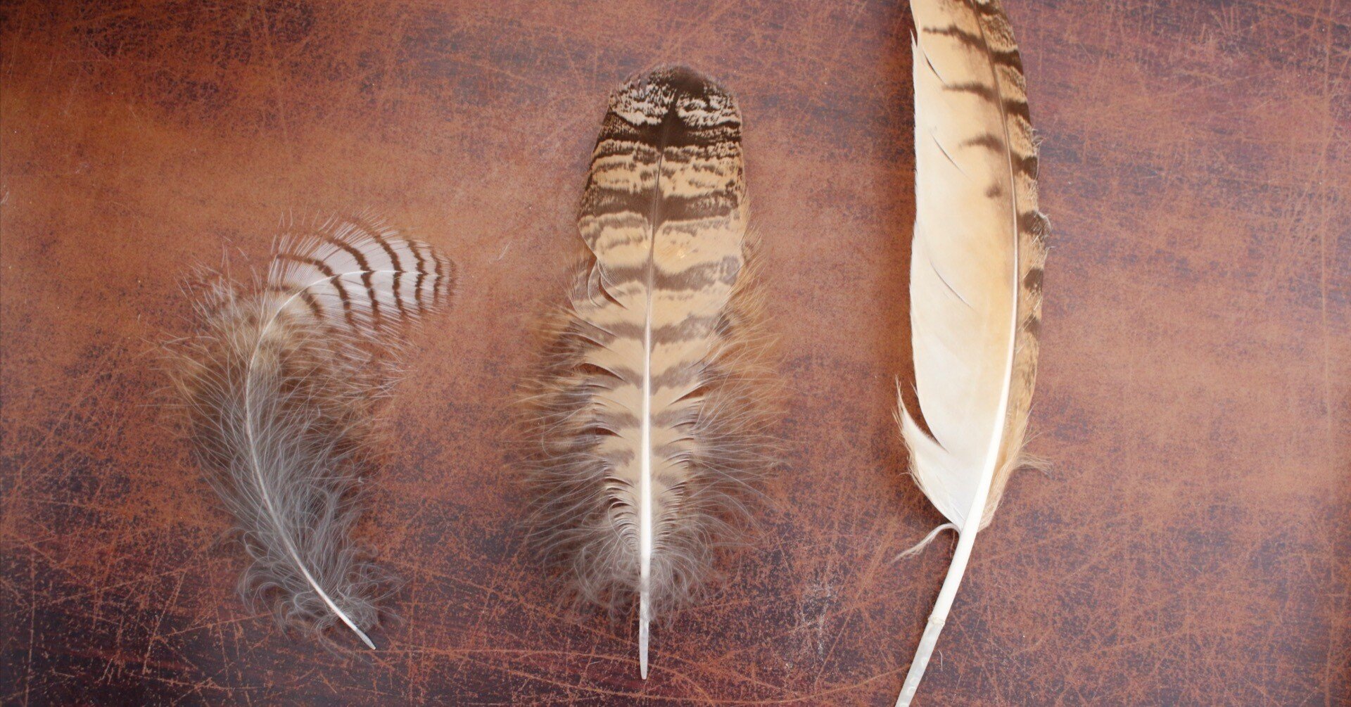 09f6a0d4af3b1ac2d191dcb96ffe3c