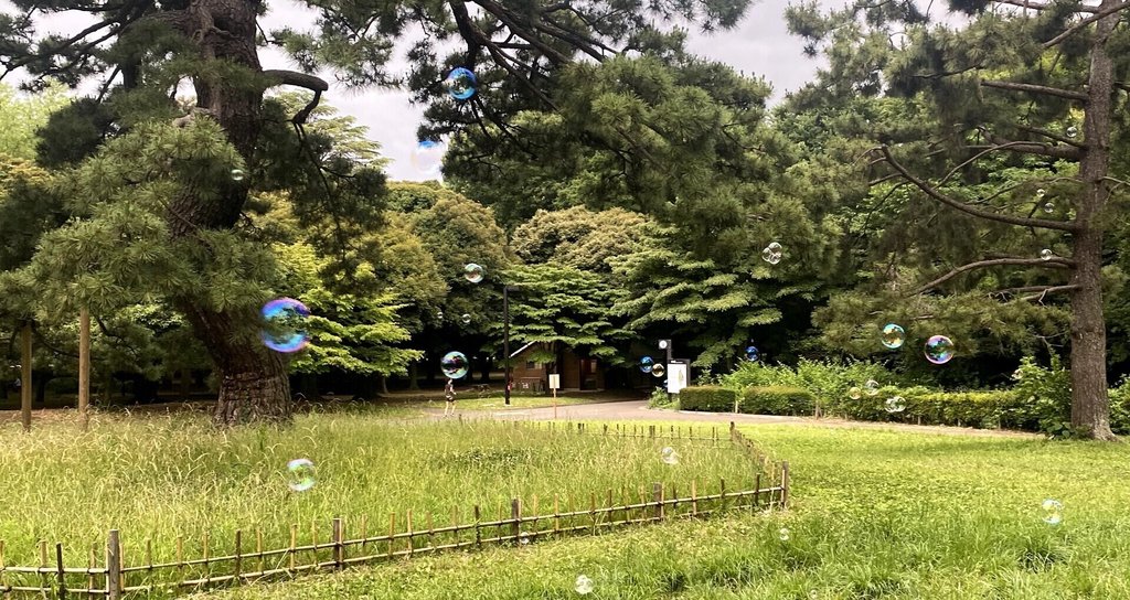 ひろ子(77)"心で観る!”今は孫が書いています