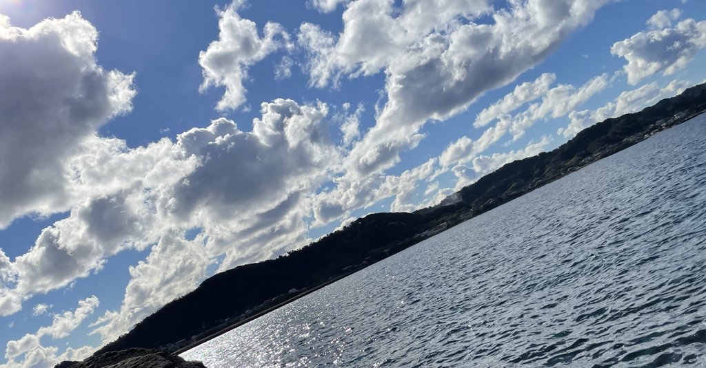 野々村鷹人            野々村鷹人