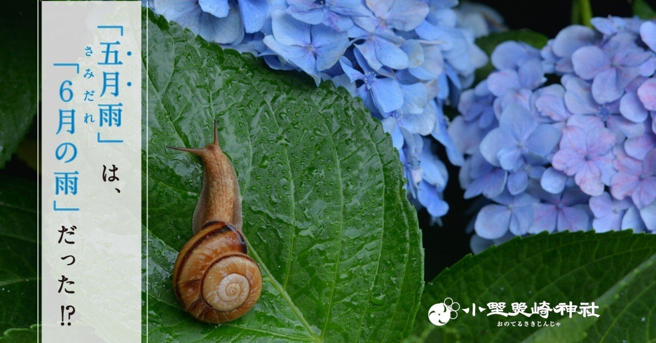 五月雨 さみだれ は ６月の雨 だった 五月 の謎を追う 小野照崎神社 Note
