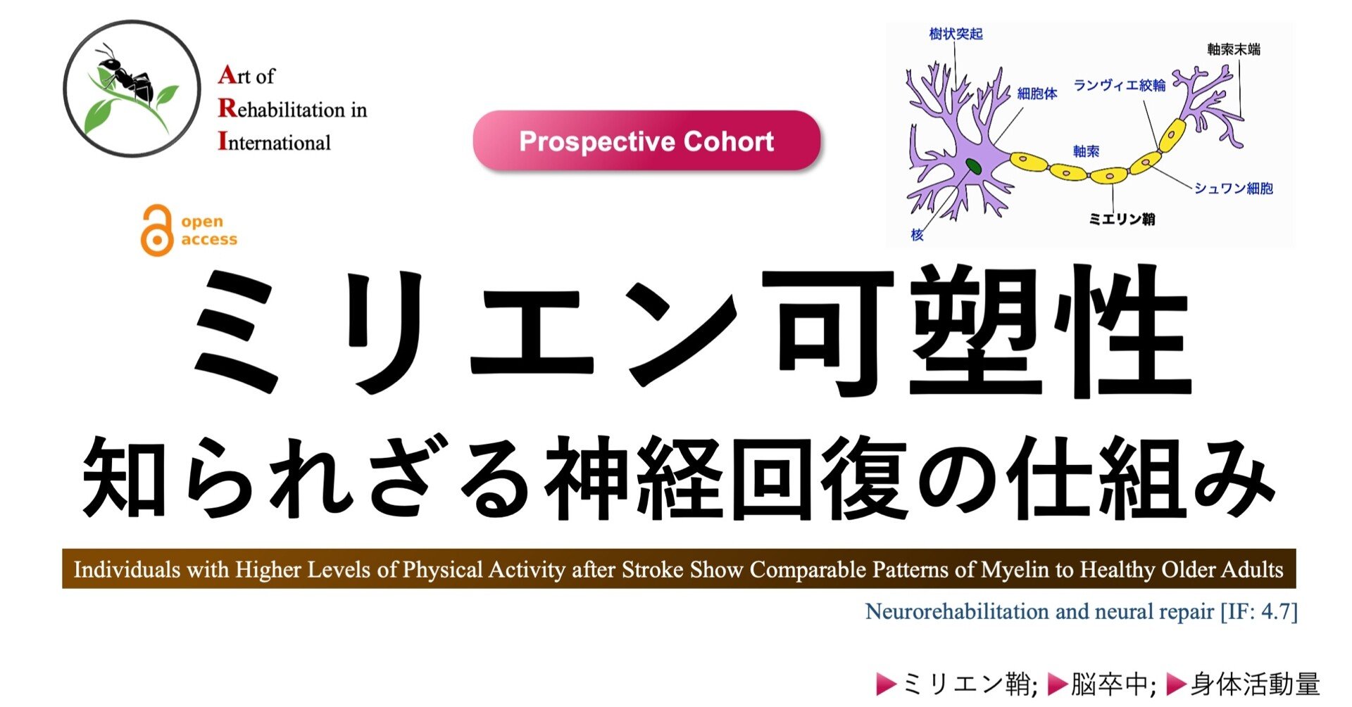 ニューロンの生理学 | D.Tritsch, 藤吉 好則, 大谷 悟 |本