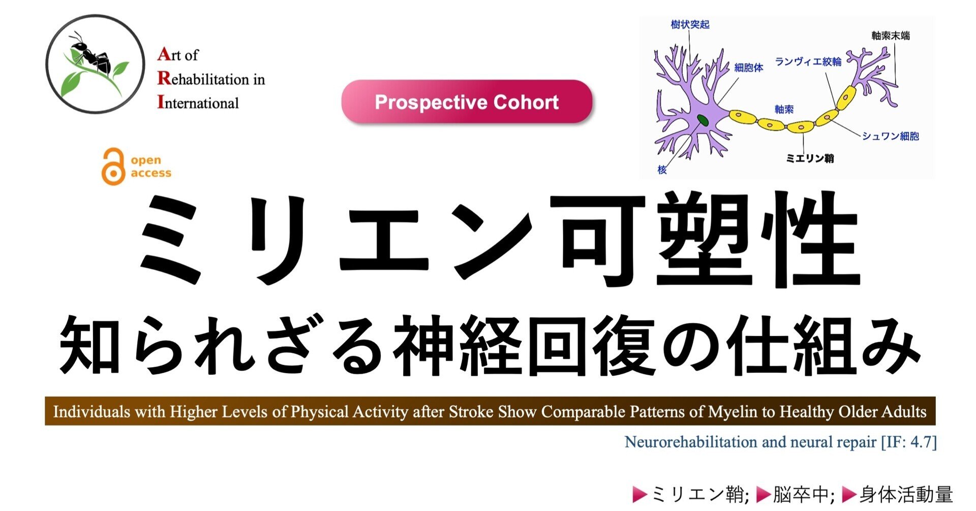ニューロンの生理学 ニューロンの生理学 | D.Tritsch, 藤吉 好則, 大谷 悟 |本