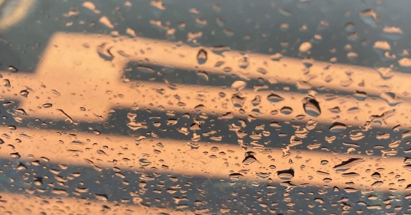 日記〻うきうきの雨期、浮き