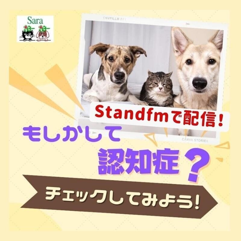 Standfmで配信_