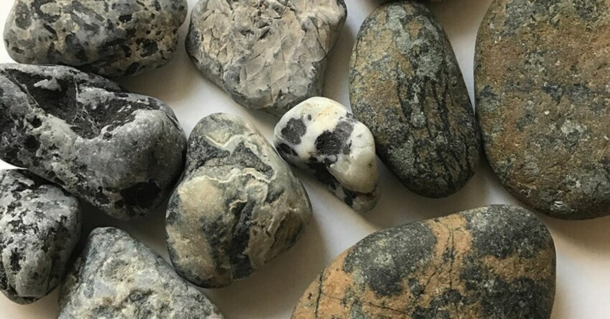 石なし県へ、千葉県の海岸で石拾い ｜思い出その二十七｜｜石の人