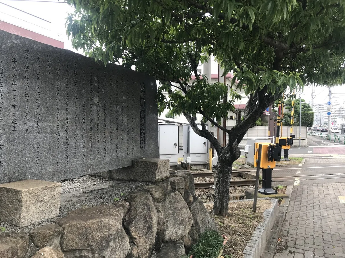 画像14