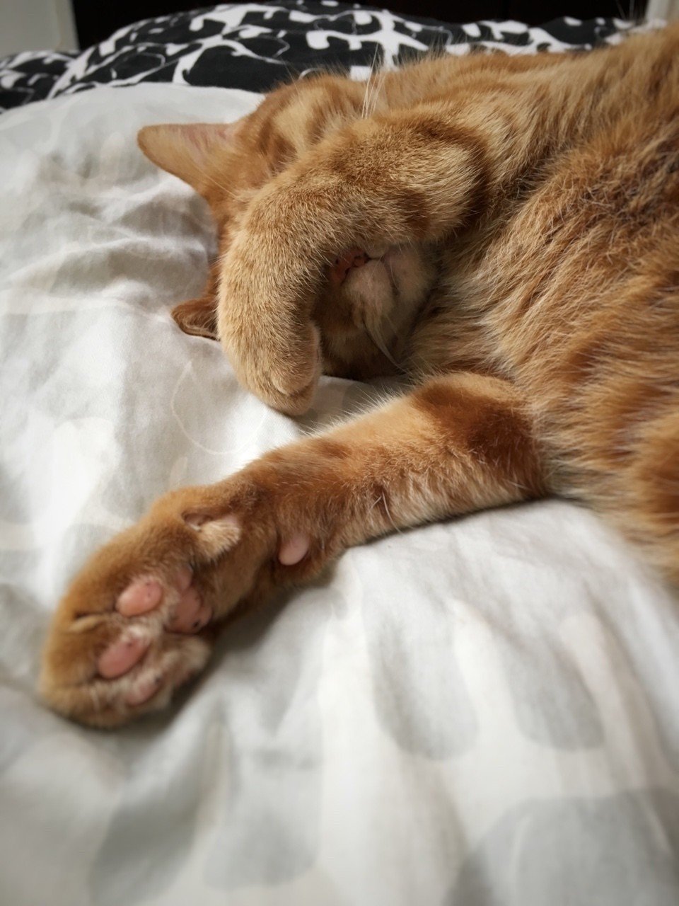 まぶちい Mizunote Note