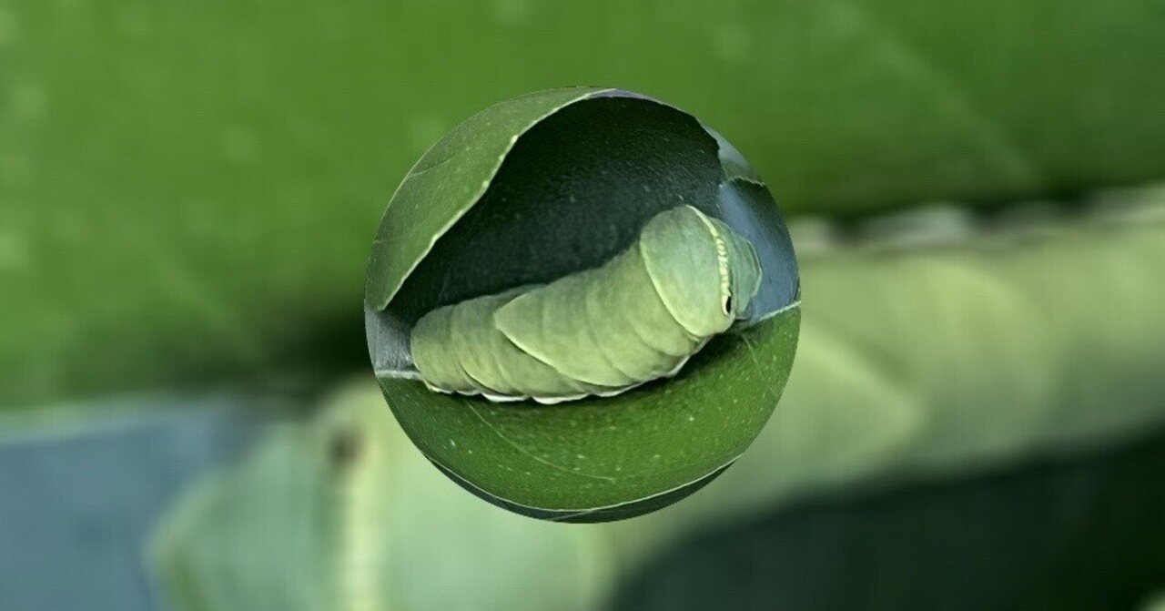 アゲハ蝶さん♡♡ハチ＋1ペア＋1ペア アゲハ蝶さん♡♡ハチ