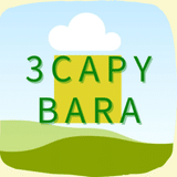 3Capybara