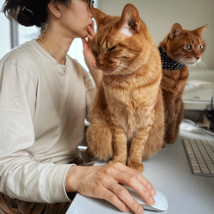 「ぜんぜん見えん！」PC画面の前に猫ふたつ。ママには仕事をしてほしくないようです。※寝ちがいでサロンパス貼ってますママ笑