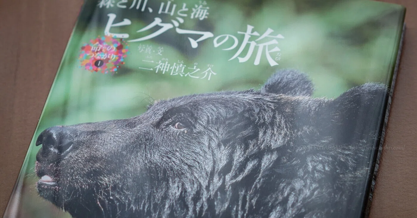 写真絵本『ヒグマの旅』で伝えたかったこと。｜ブンイチ（文一総合出版）
