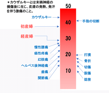 痛みの尺度