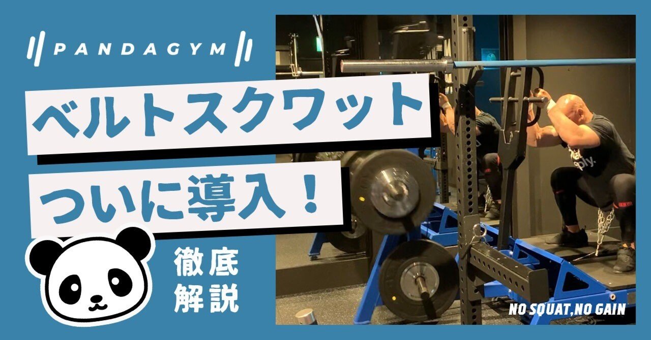 徹底解説】ベルトスクワットついに導入！｜山田崇太郎