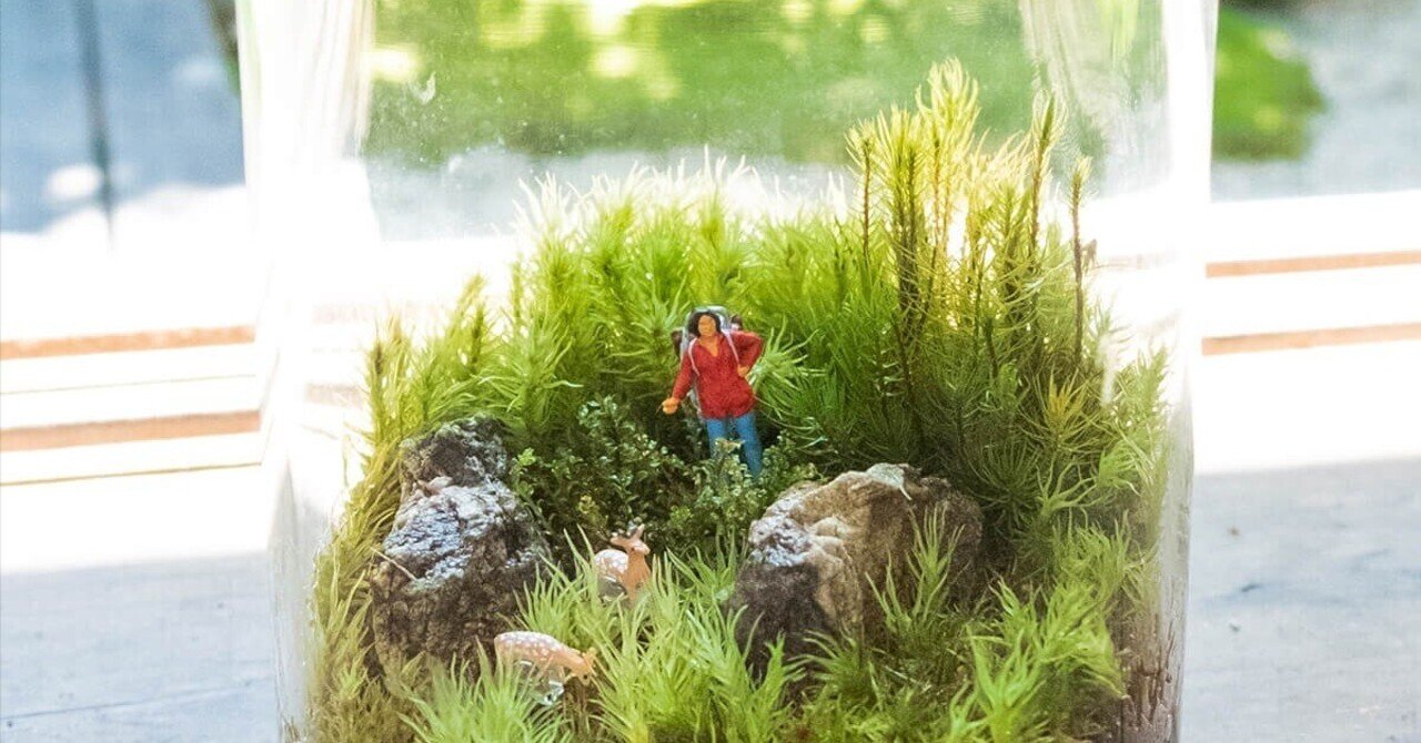 苔テラリウムのお手入れ方法から見えてきた コケの意外な姿 ブンイチ 文一総合出版 Note 苔テラリウムのお手入れ方法から見えてきた コケの意外な姿 ブンイチ 文一総合出版 Note