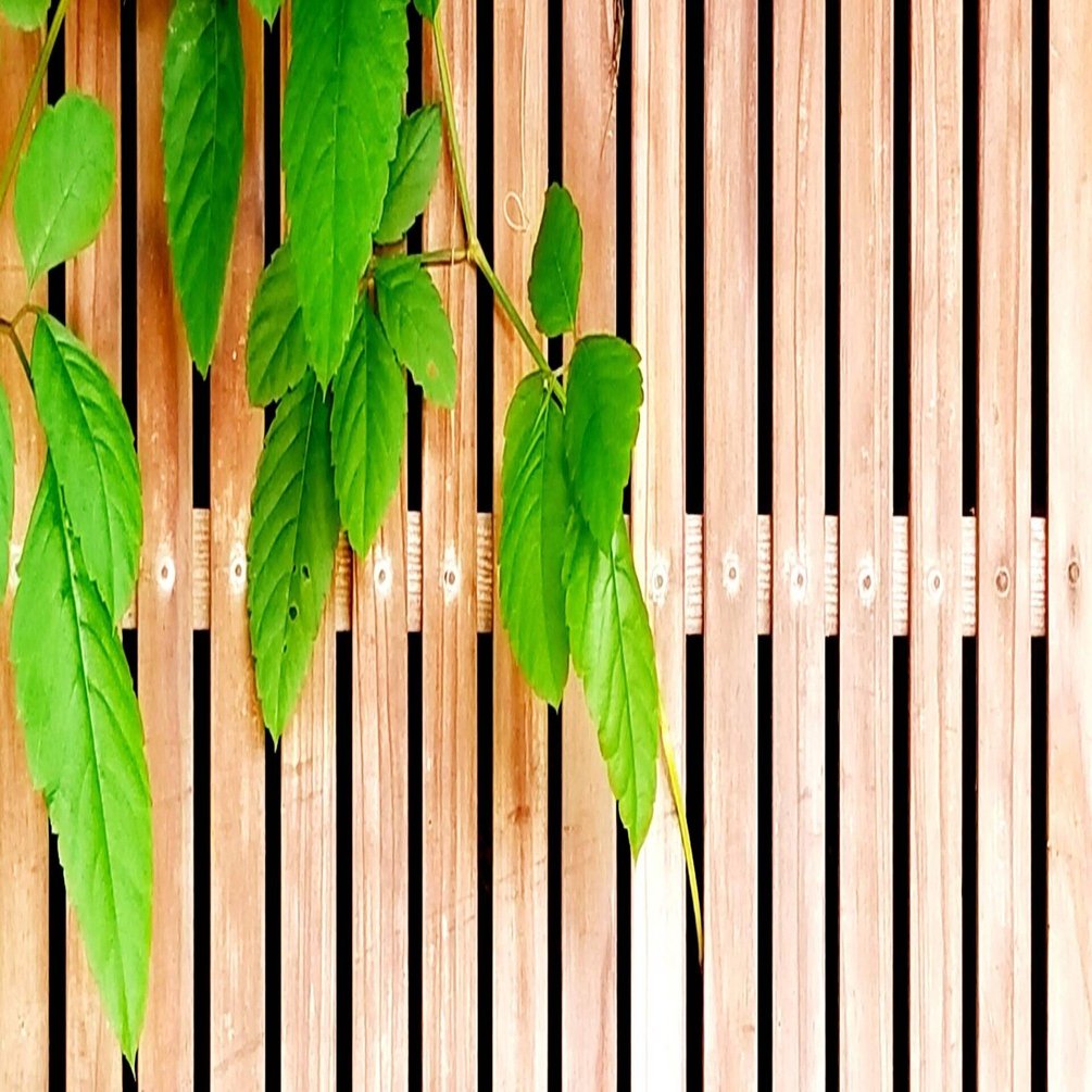 女性の連帯感と山のすそ野のカウンセリングルーム 箱庭 山の麓のカウンセリングルーム 箱庭 綾部市 Note