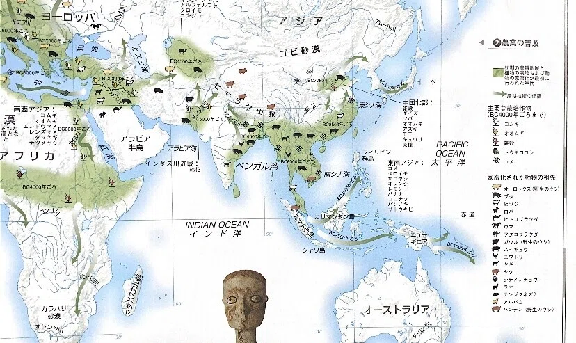 画像6
