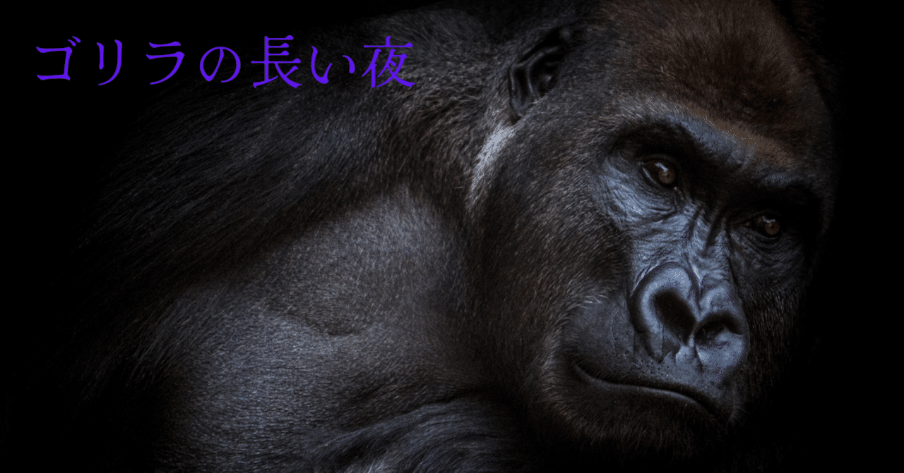 ゴリラのため息夏季限定PRO セット
