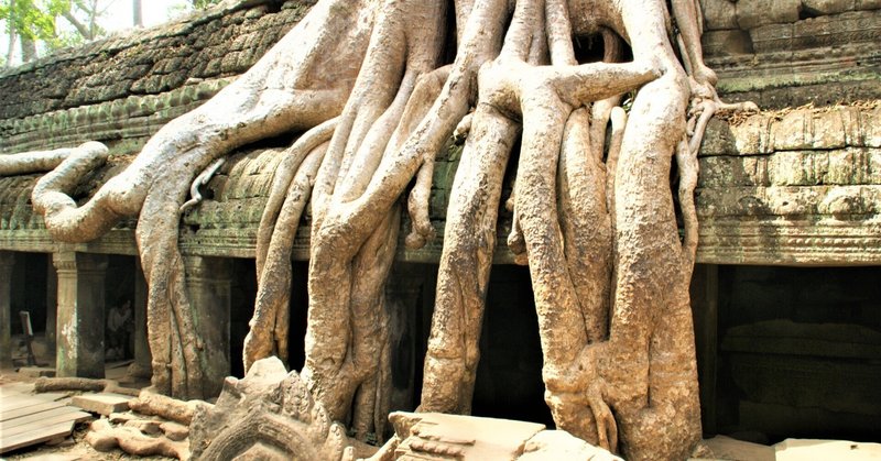 アンコール遺跡群 ⑦ ガジュマルが根を張り巡らすタ・プローム寺院