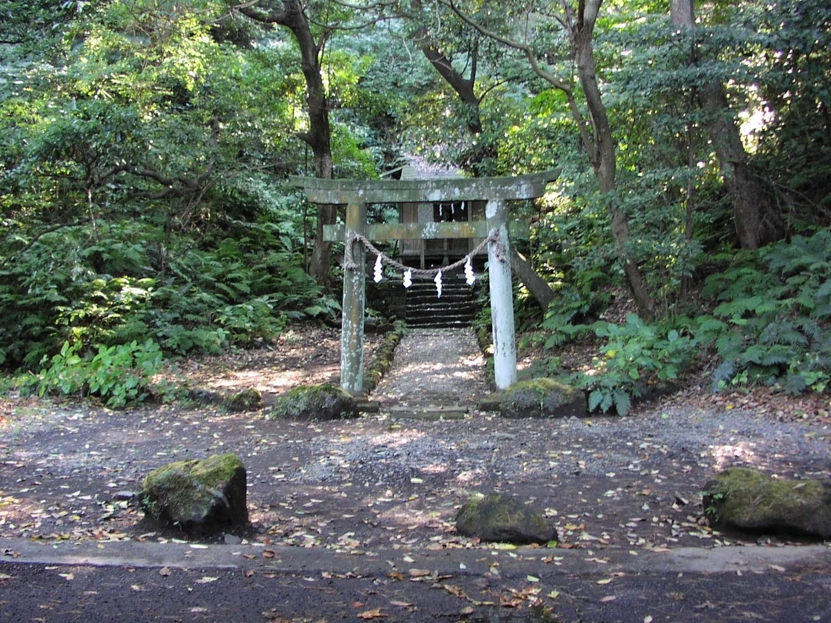 画像