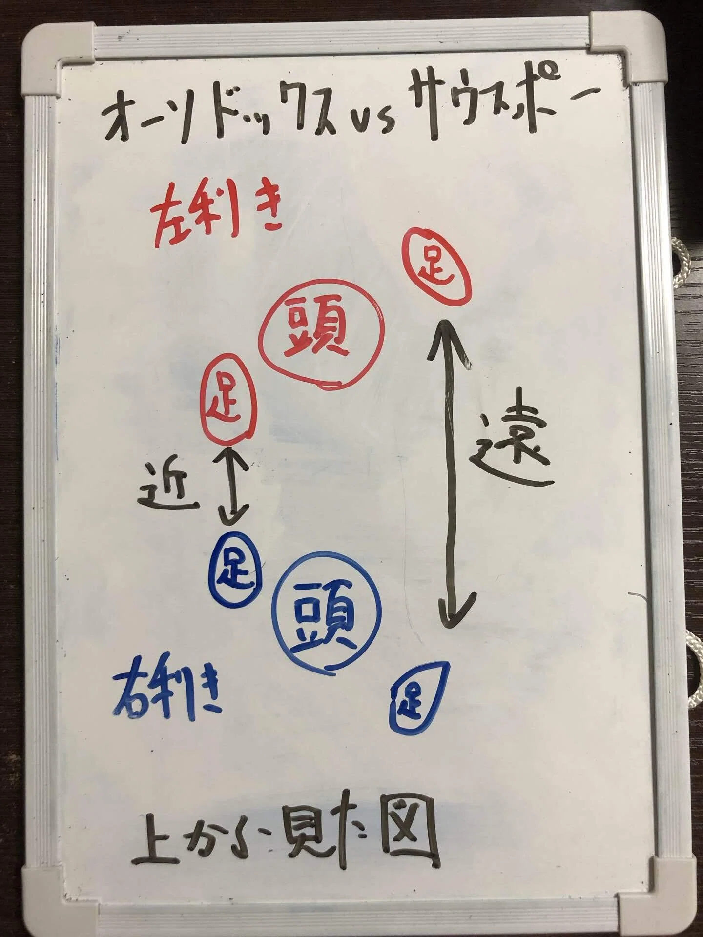 対サウスポーの基本戦略その1｜チャンピオン?紫キャベツ