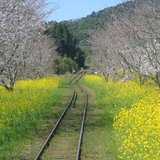 沢海　嵐川