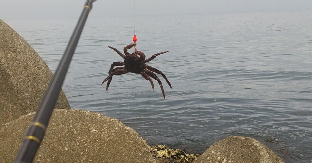 穴釣りのススメ 大物に出会えるかも 初心者でも簡単に大物が釣れる秘密の釣法 魚もカニ も 時には信じられない高級生物も釣れる 龍キング 釣り Note 穴釣りのススメ 大物に出会えるかも 初心者でも簡単に大物が釣れる秘密の釣法 魚もカニ も 時には信じられない高級生物も釣れる 龍キング 釣り Note