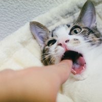 死ぬこと以外かすり傷 についての考察 ようとう Note