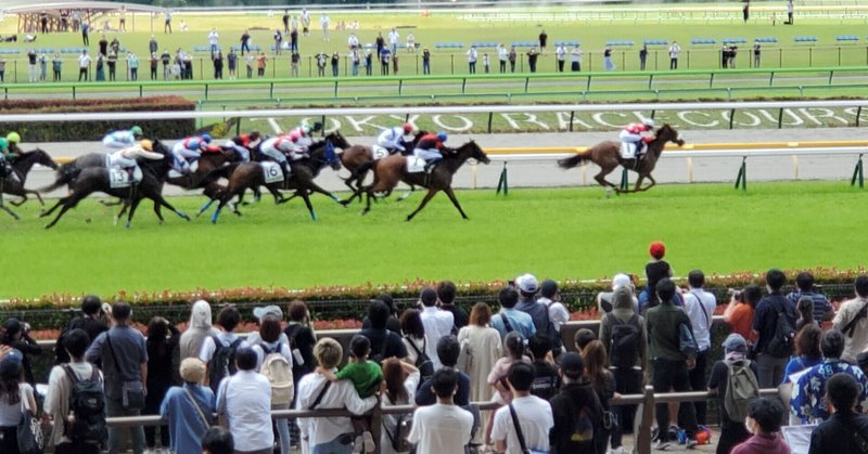 6/19（日）🐴午後の厳選勝負レース🐴 
【東京】9・10R【阪神】10R