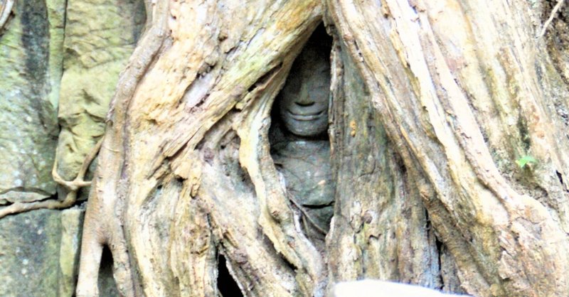 アンコール遺跡群 ⑧ ガジュマルの根の間から顔を出す、神秘的なデバター像