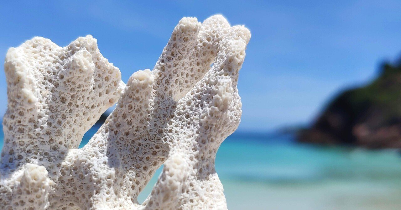 Sdgs 海とサンゴにやさしい Allie アリィー の日焼け止めがおすすめな理由 なちょ Note Sdgs 海とサンゴにやさしい Allie アリィー の日焼け止めがおすすめな理由 なちょ Note