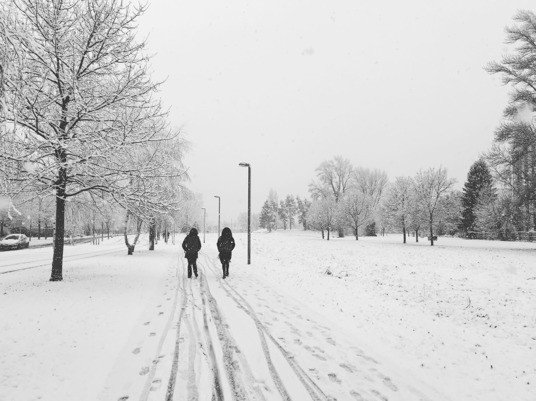 グルノーブルその日暮らし フランス留学記 12月 ʇ Note