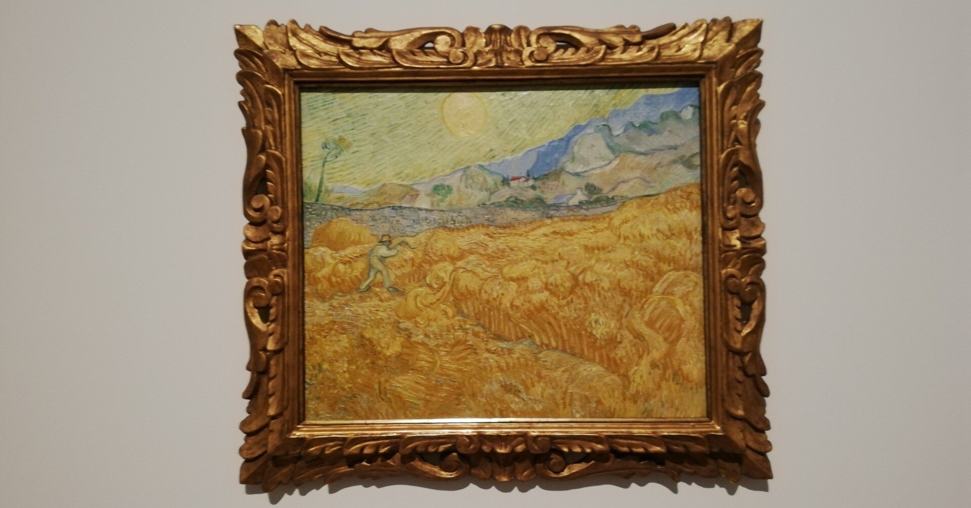 0afa2d43135b4de8803c056c0b8e6a