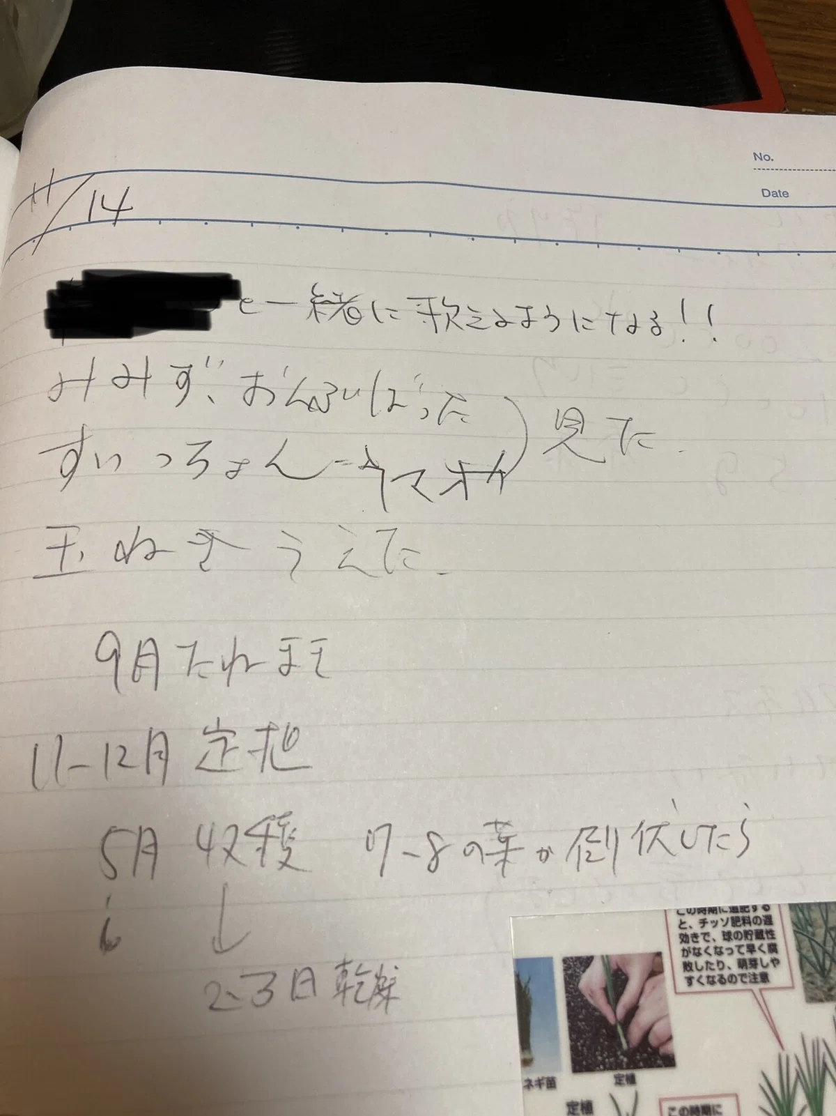 画像3