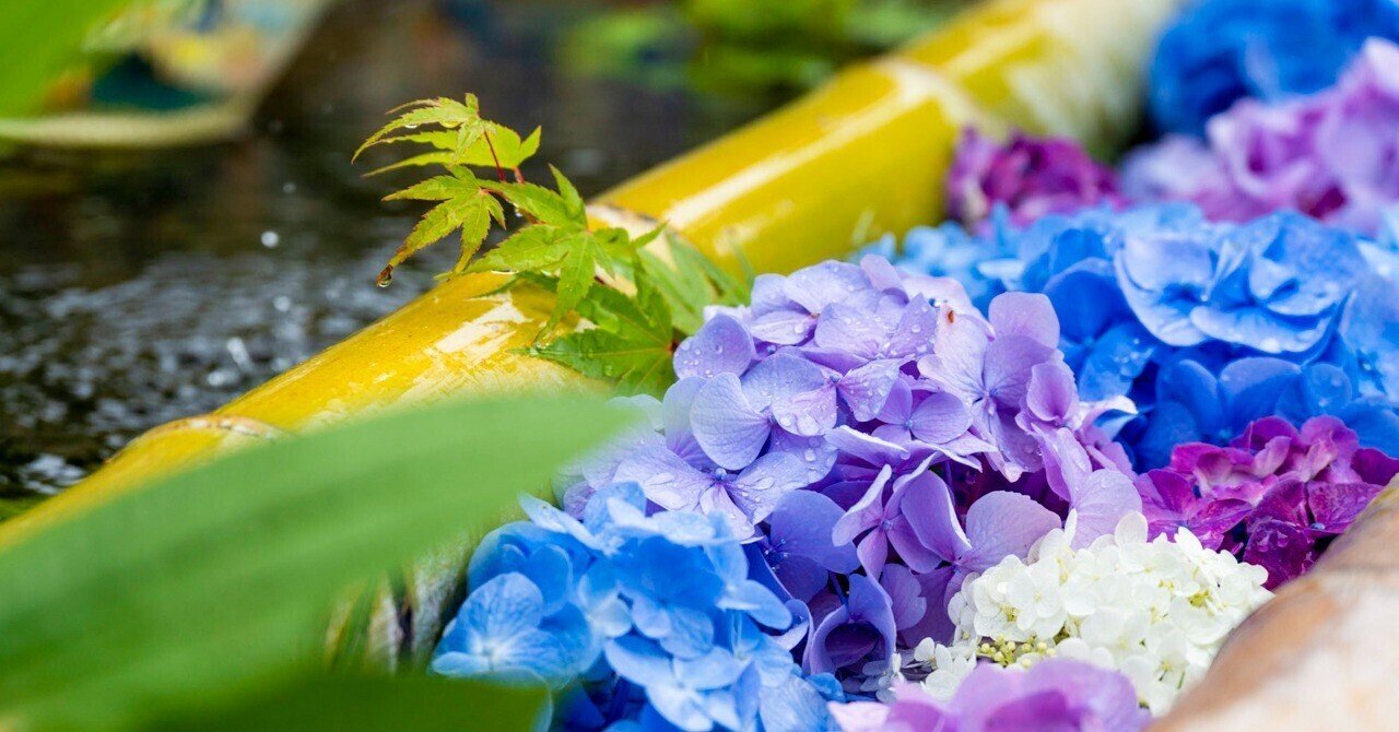 あたらしい日常 の採集 13 花手水 ぷらいまり Note