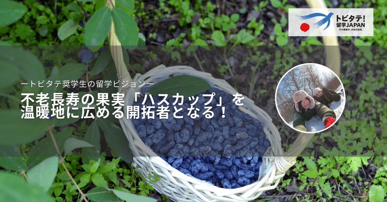 不老長寿の果実 ハスカップ を温暖地に広める開拓者となる トビタテ奨学生 大学生等コース の留学ビジョン トビタテ 留学japan 公式note