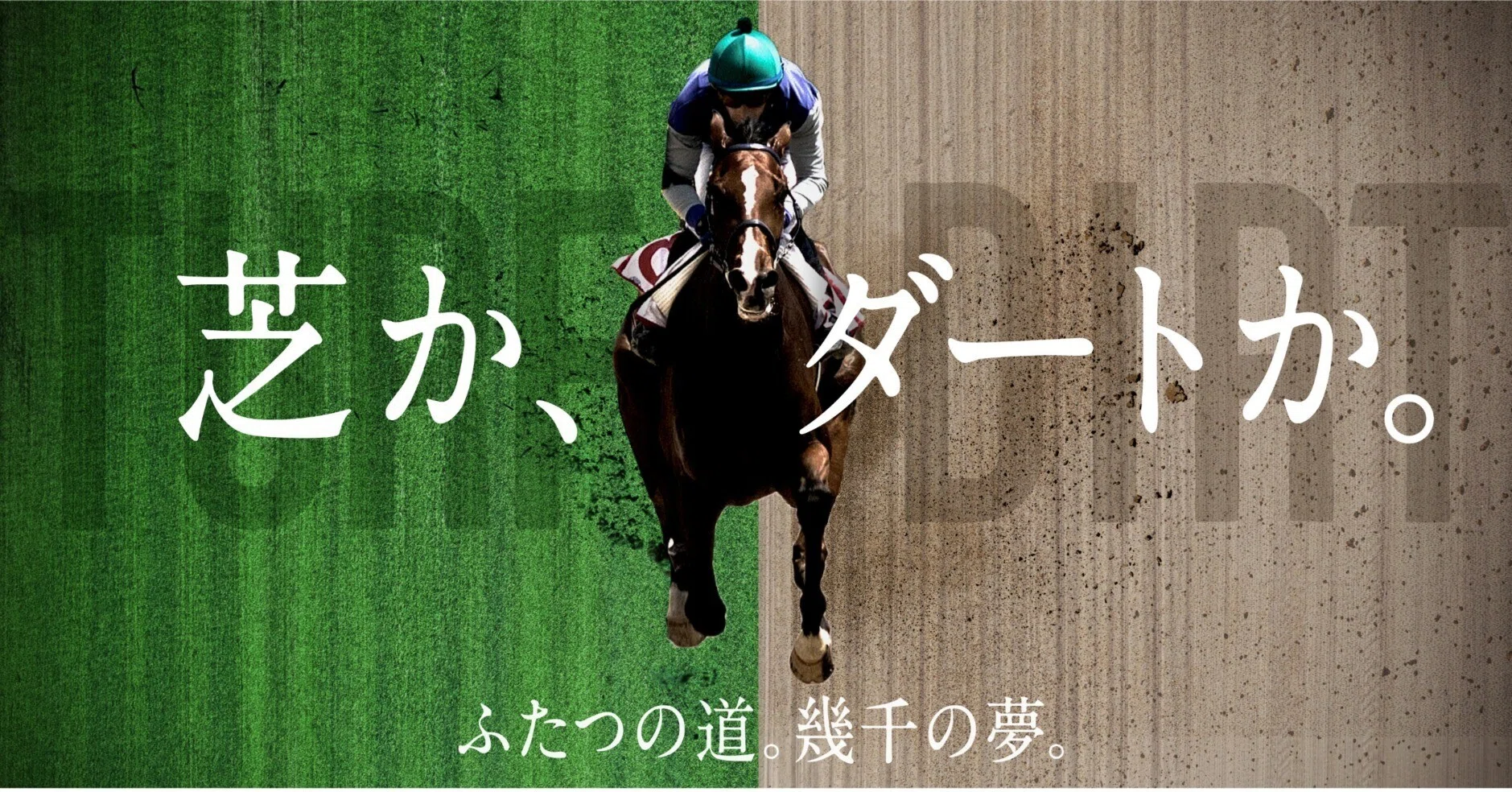 8冠 投資競馬完結の書 商品の説明競馬における投資理…
