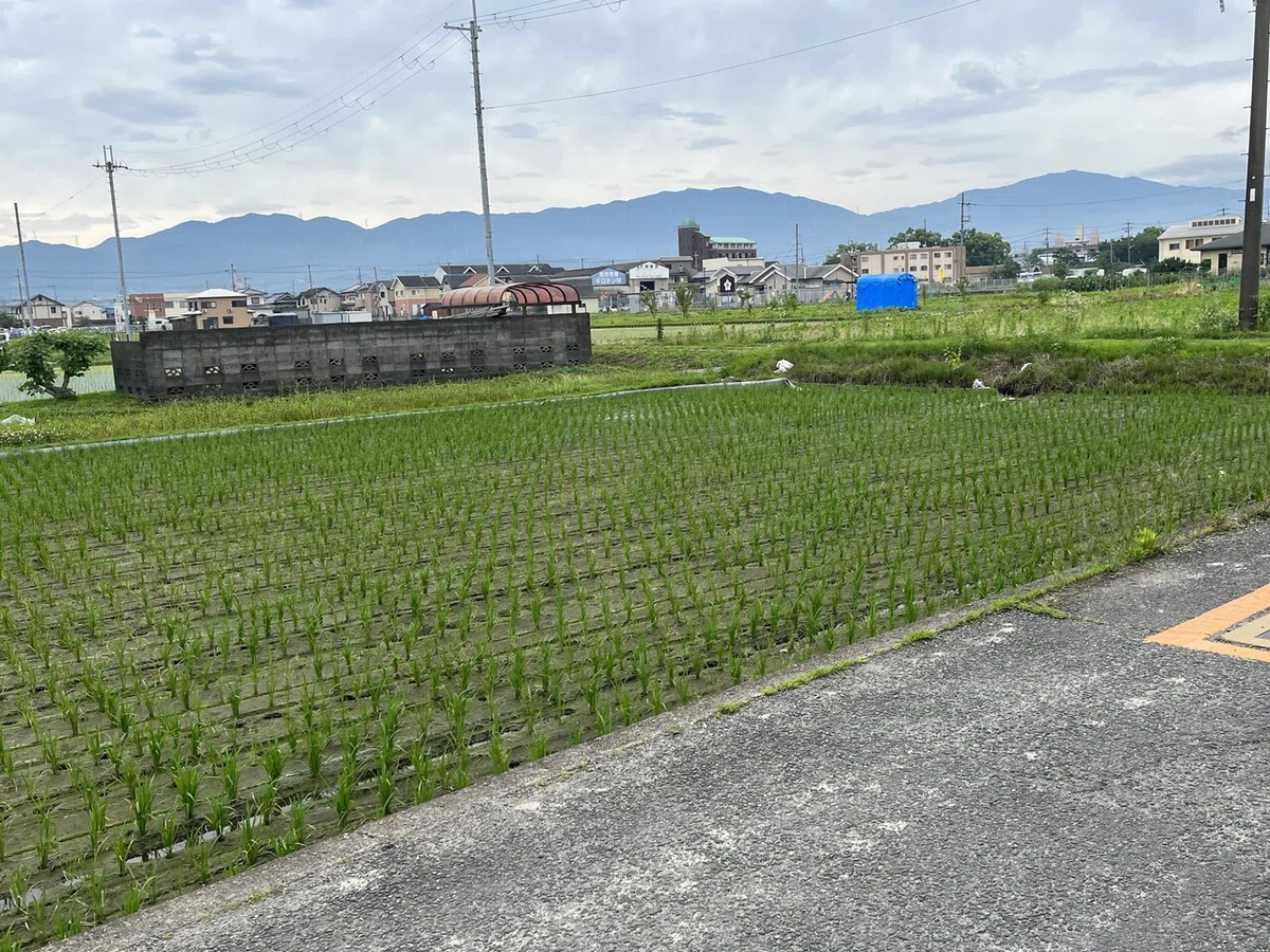画像1