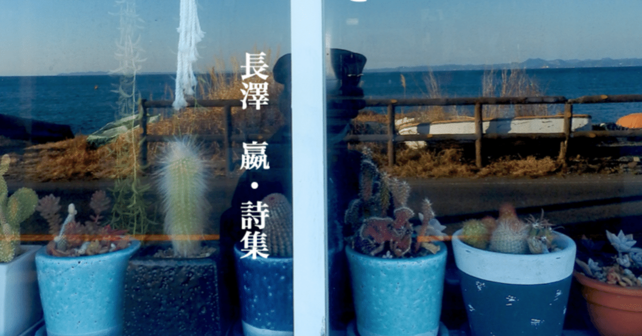 中国ヴィンテージ 陶器製 頭手足尻尾が動く 親子亀 猫ジャーナル