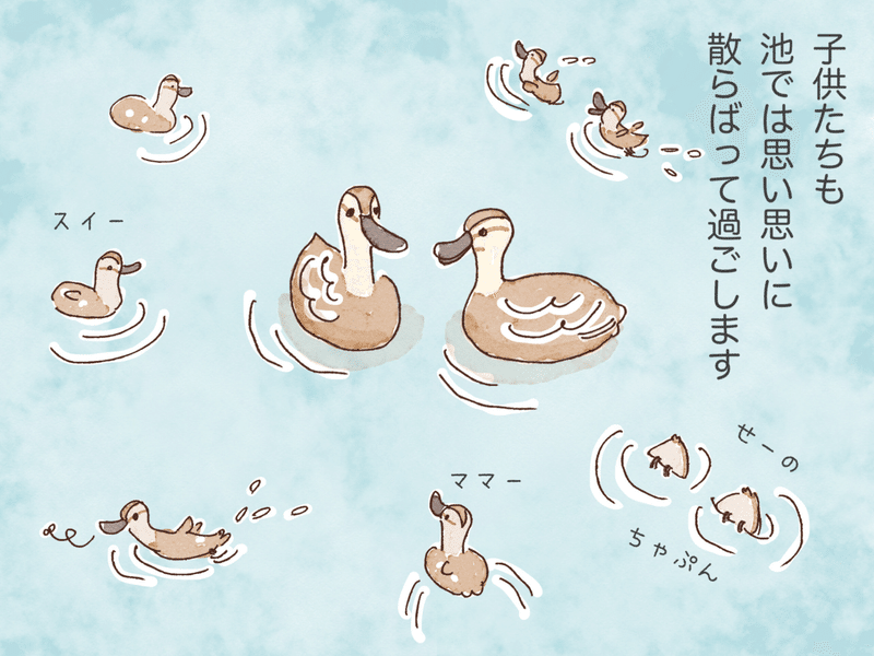 とりとめもなく カルガモ親子のはなし Pitchpotch ぴちぽち Note