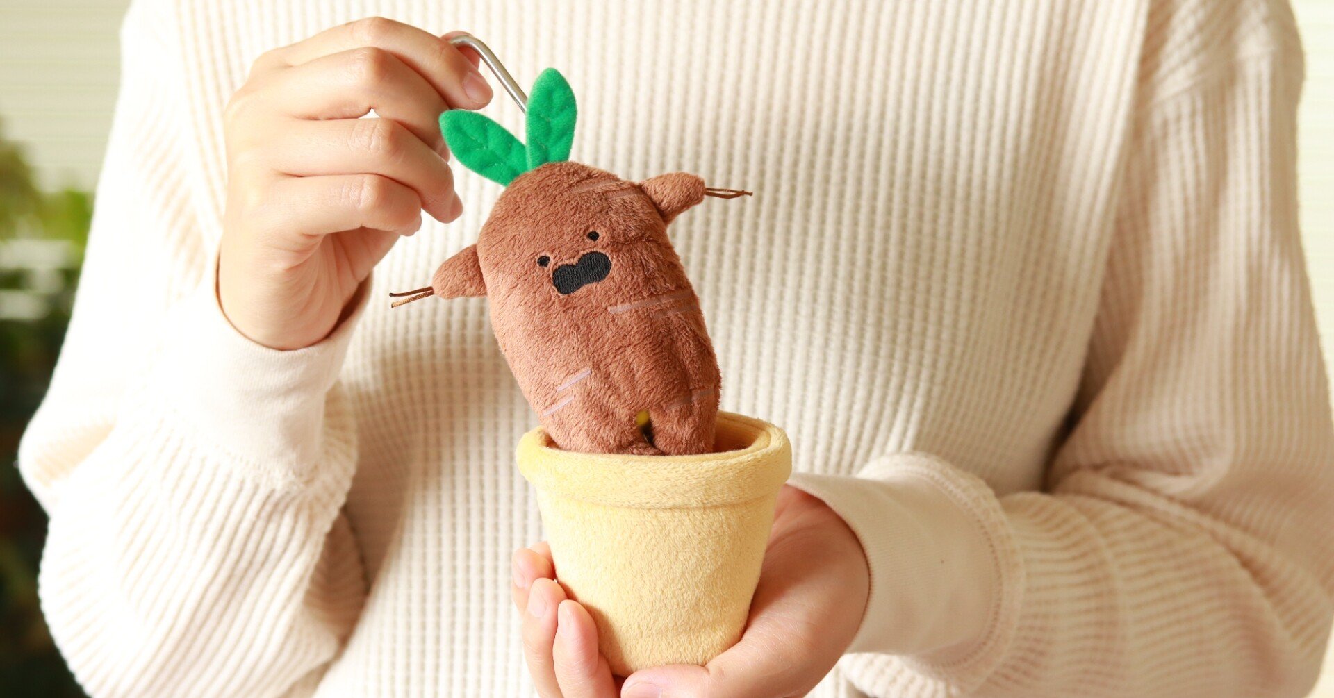 49d81618b234dc45ee86a93d0c3534