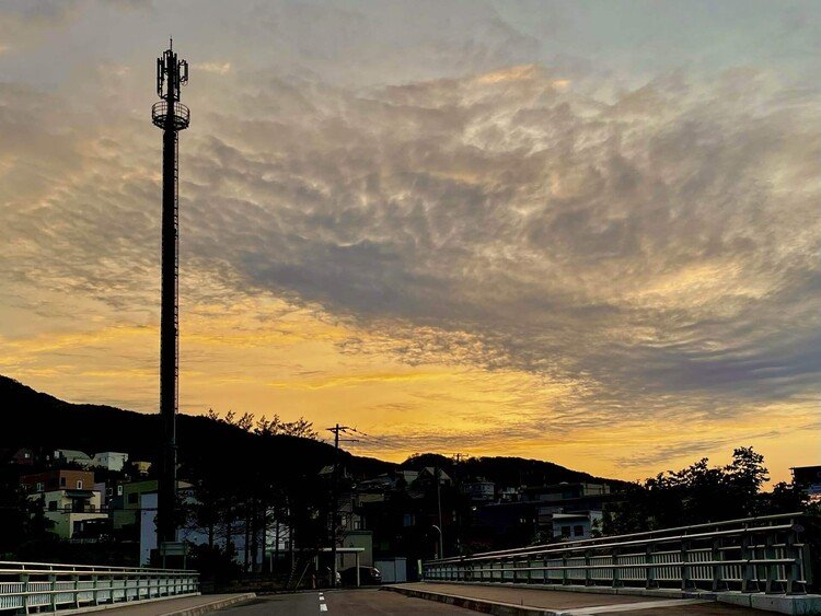 いつもと同じ風景だけど今日は夕日がきれいだな。