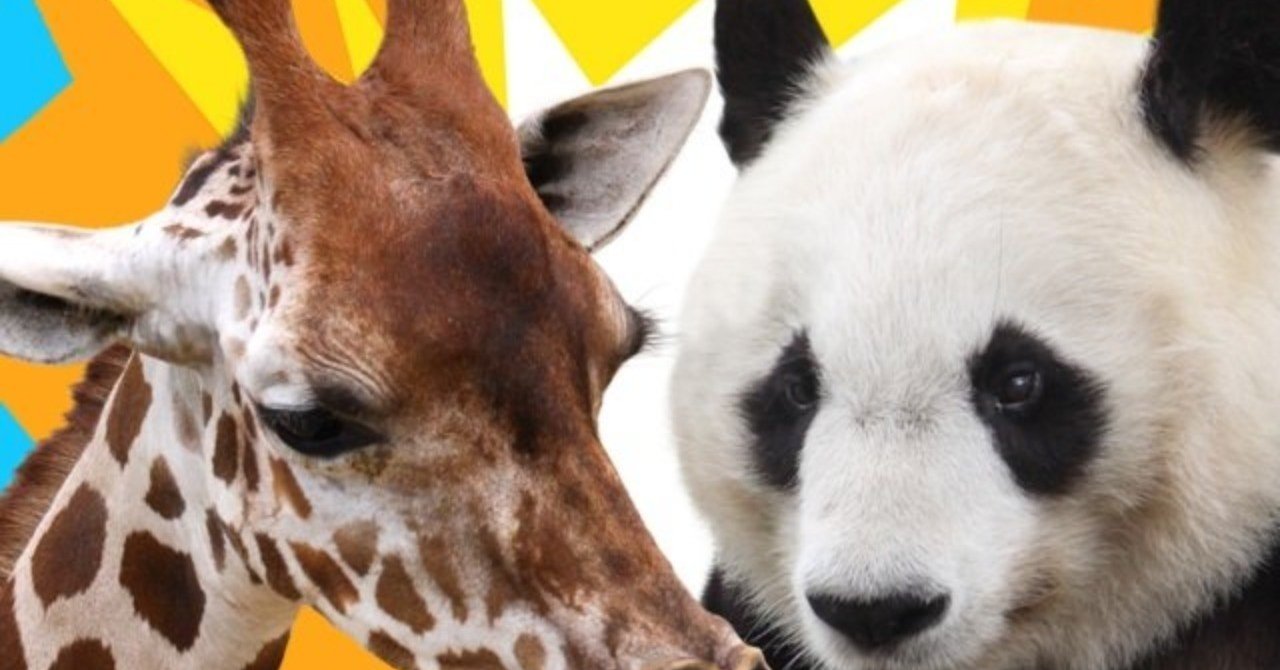 e-sports】僕たちは『どうぶつタワーバトル』で生計をたてられるのか｜ヨシダ＠インターネット物書きマン