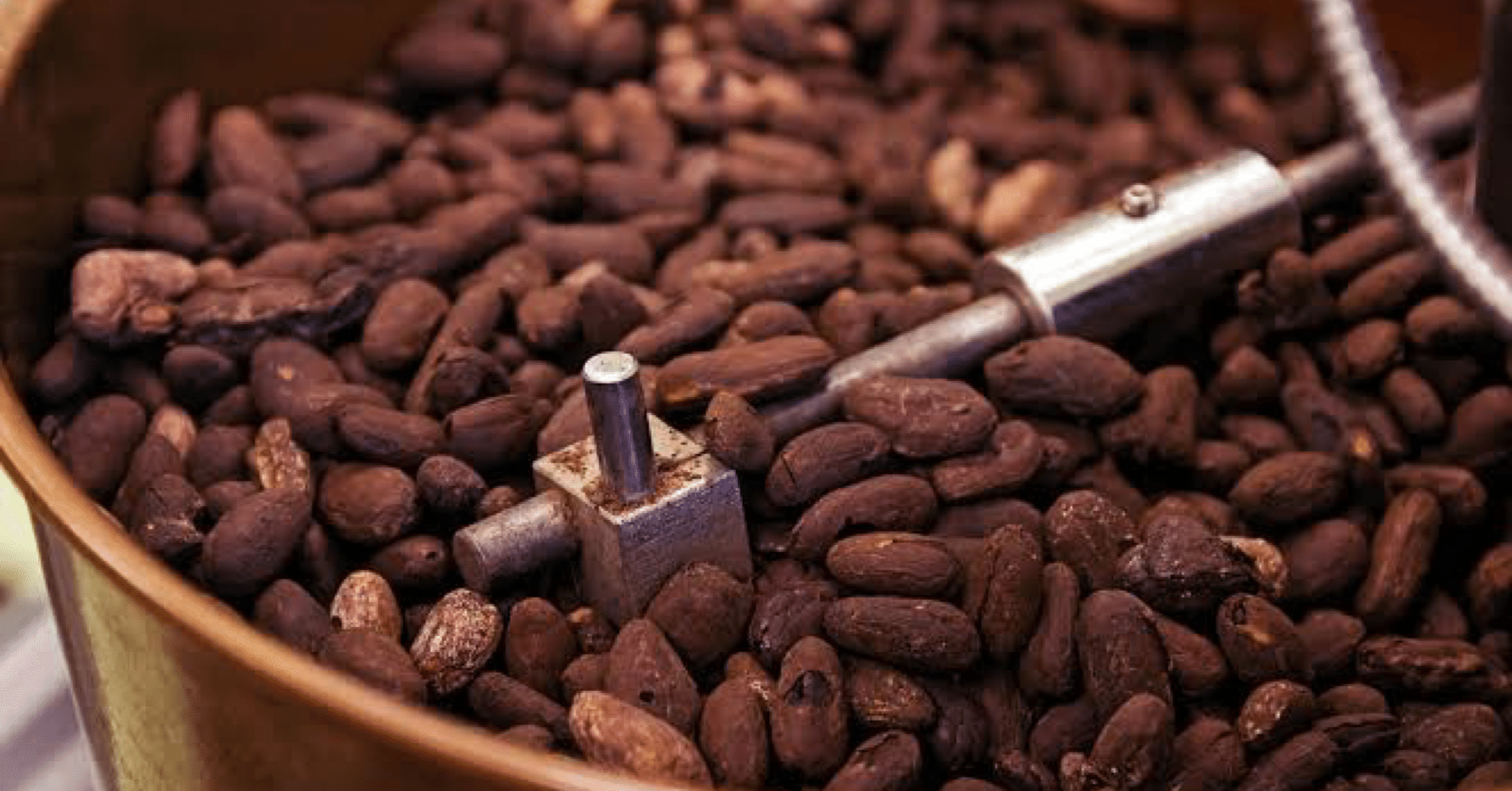 チョコレート 製造工程①｜TetsumotoShoki 鉄本翔希