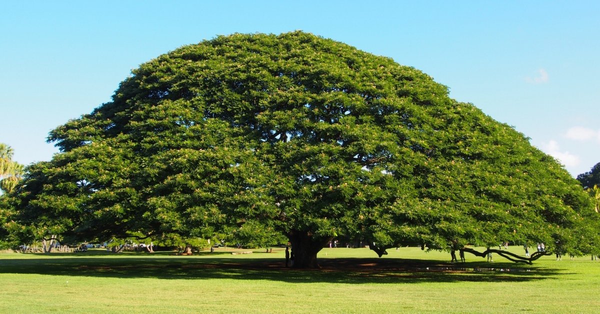 この木なんの木不気味な木 5【この木なんの木CMまとめ】日立の樹♪この木なんの木気に