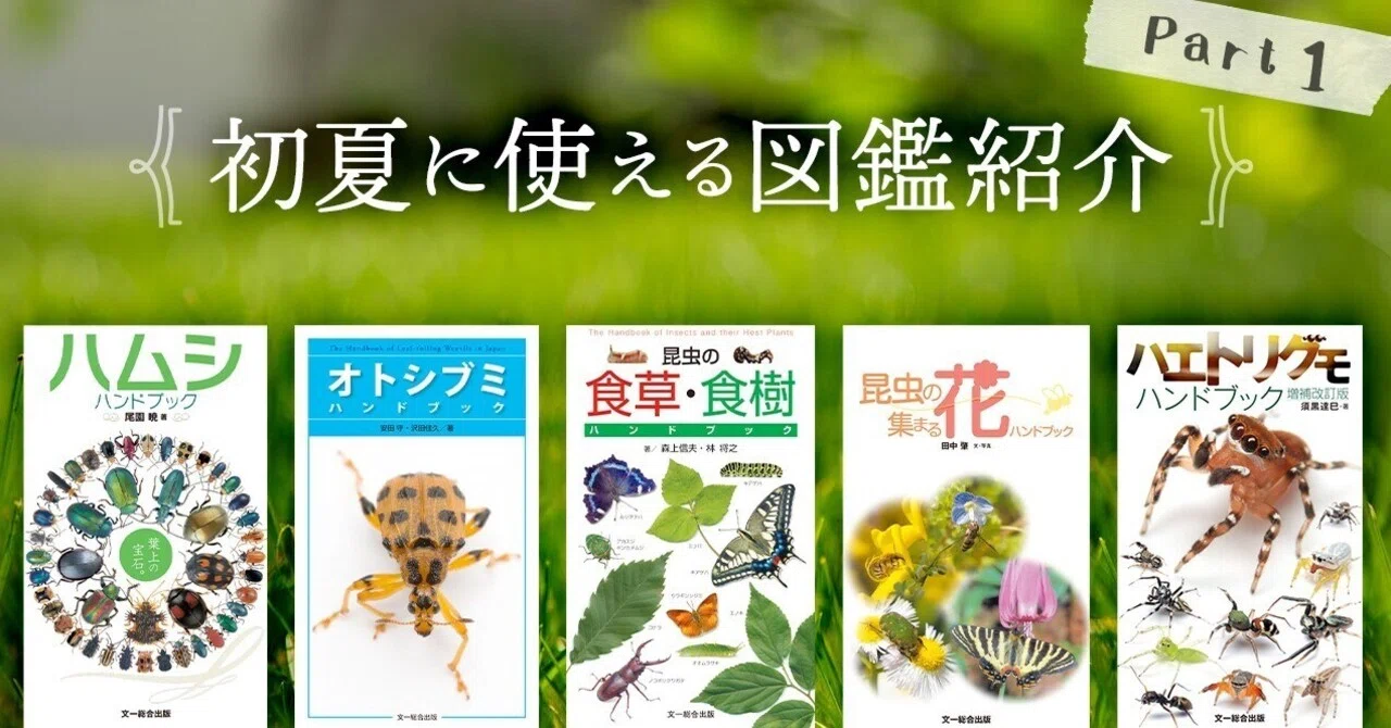 宝*島様 日本産有剣ハチ類図鑑 = A Guide to the Aculeat 宝*島様 日本