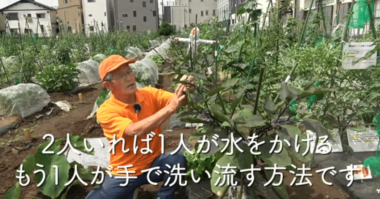 家庭菜園 ハダニから夏野菜を守る対策方法をご紹介 井上寅雄農園 井上隆太朗 Note