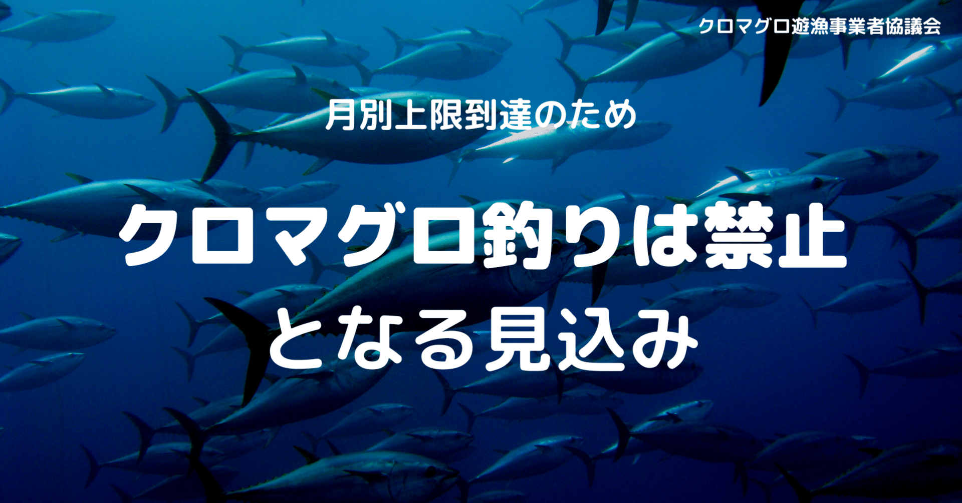 速報 重要 6月度クロマグロ釣り禁止のお知らせ 一般社団法人日本スポーツフィッシング協会 Note