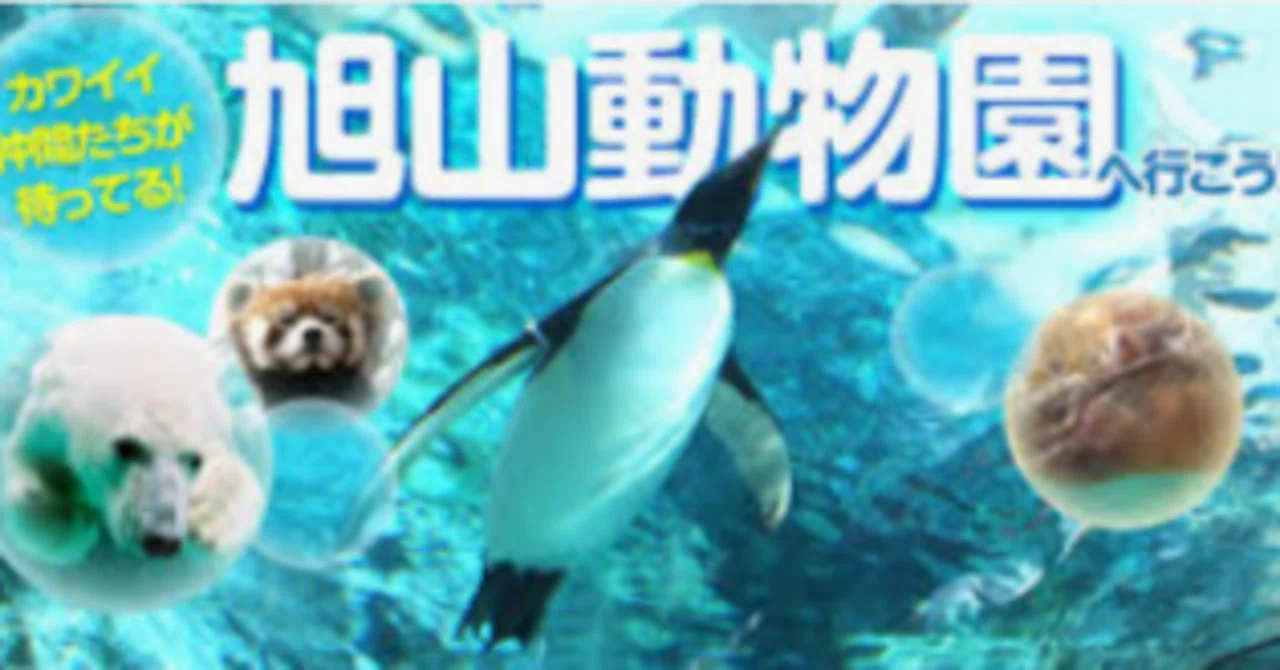市営動物園の開園を市民に説得する」慶應義塾大学経済学部2008年｜OK 