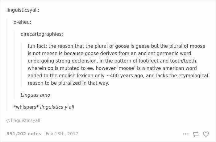 語源あそび Gooseとmooseとgeeseとmooses 井中浮梅 Note